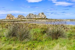 Castell Meur